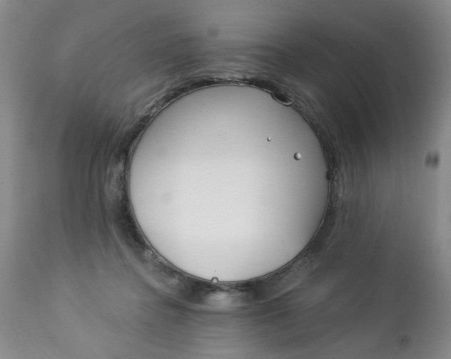 X0000112740364200909101521