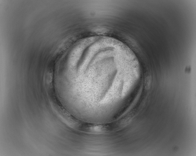 X0000112740365200909101521