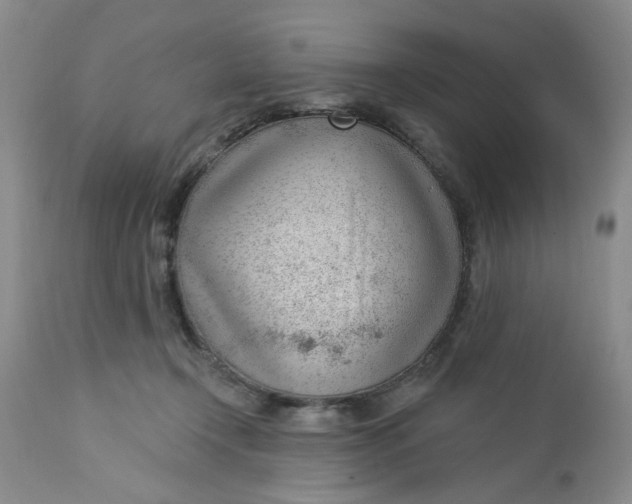 X0000112740366200909101521