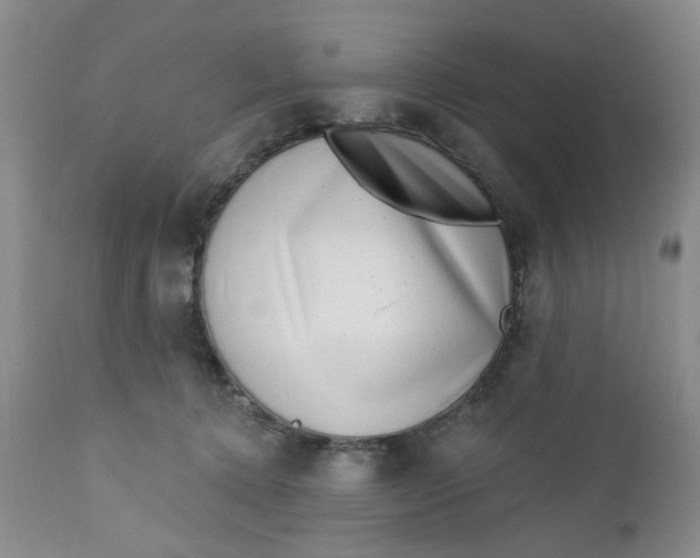 X0000112740368200909101521