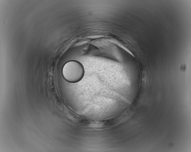 X0000112740369200909101521