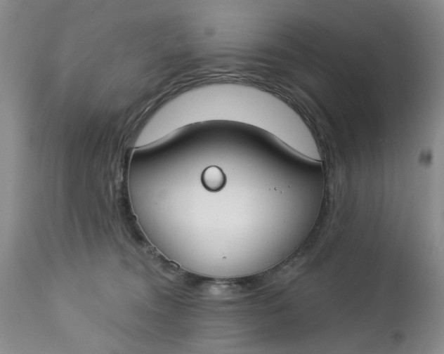 X0000112740372200909101521