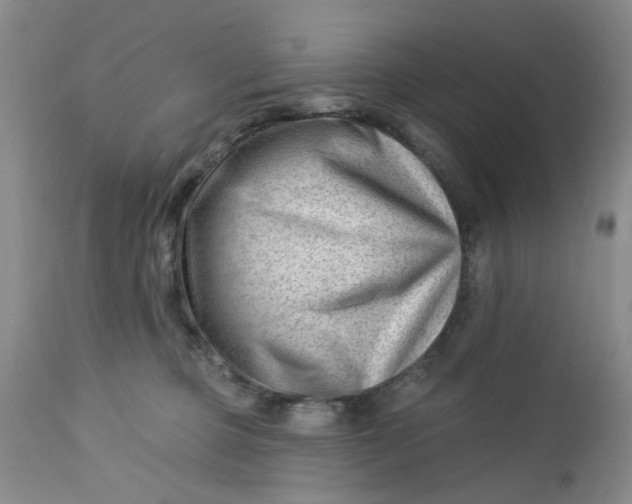 X0000112740373200909101521