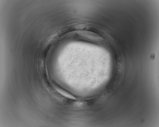 X0000112740375200909101521