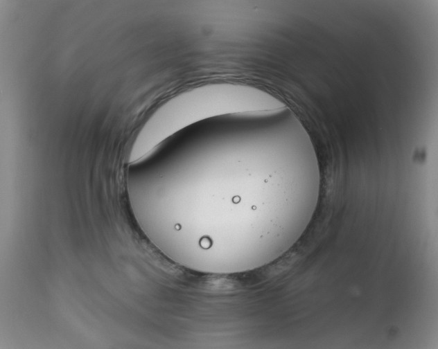 X0000112740376200909101521