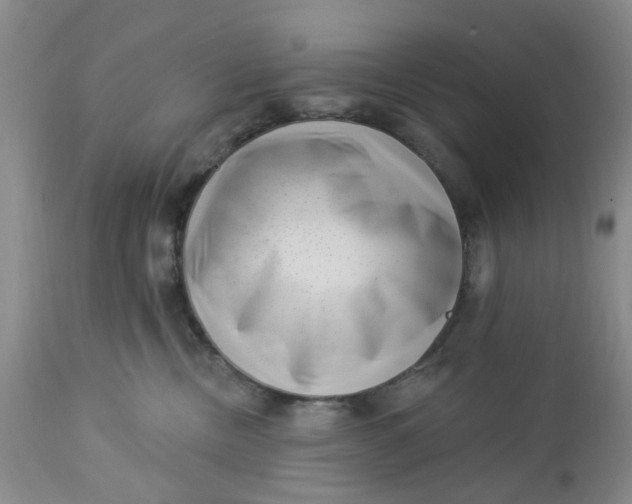 X0000112740378200909101521