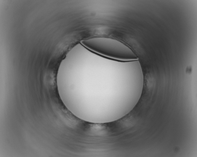 X0000112740380200909101521