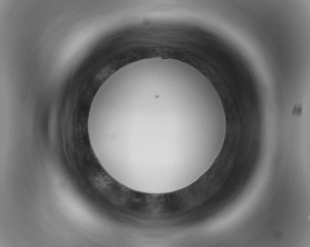 X0000112740382200909101521