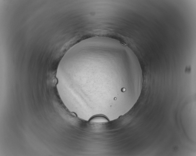 X0000112740383200909101521