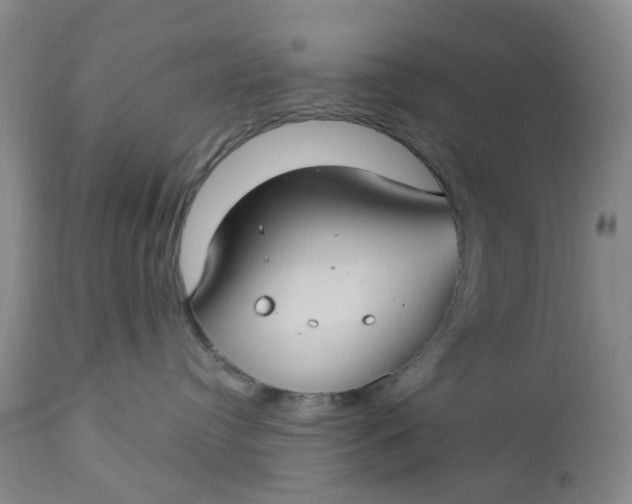 X0000112740384200909101521