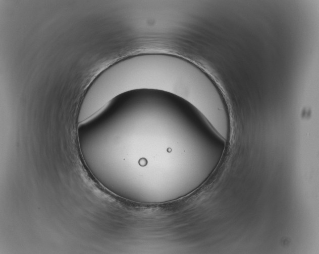 X0000112740385200909101521