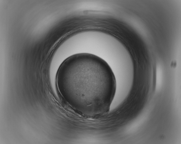 X0000112740387200909101520