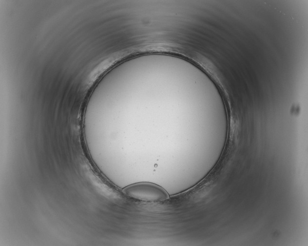 X0000112740389200909101520