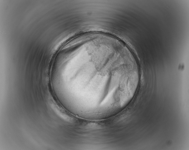 X0000112740390200909101520