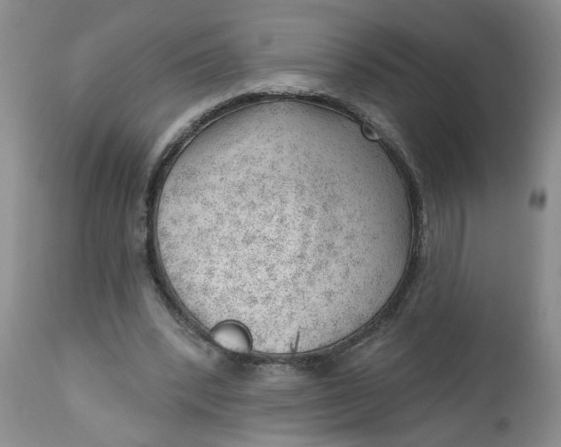 X0000112740392200909101520