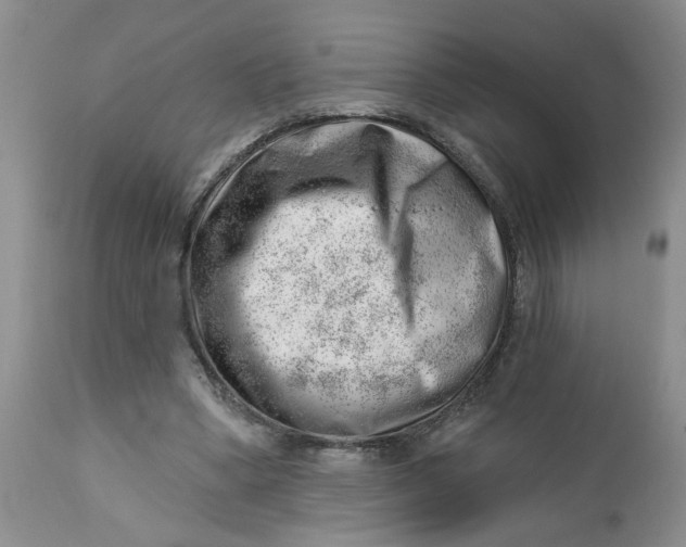 X0000112740394200909101520