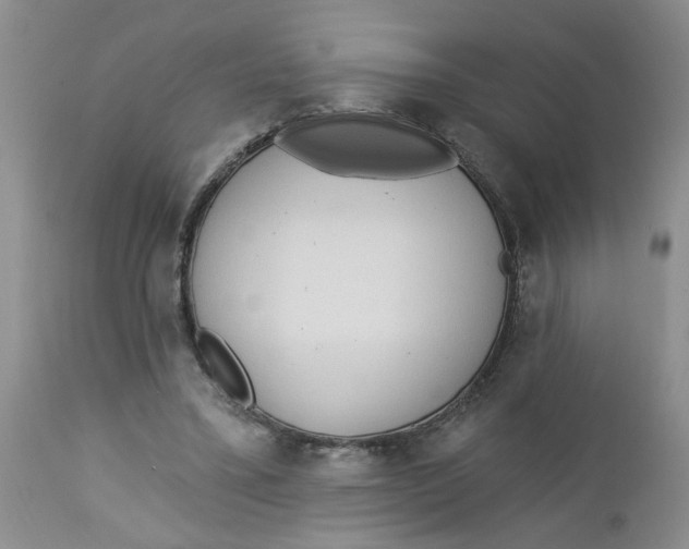 X0000112740395200909101520