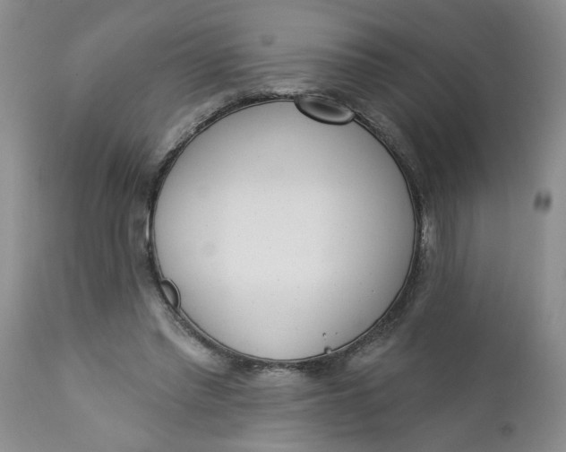 X0000112740397200909101520