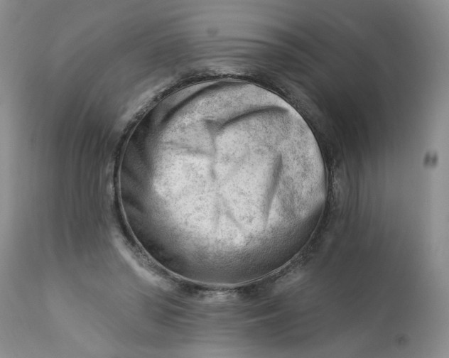 X0000112740398200909101520