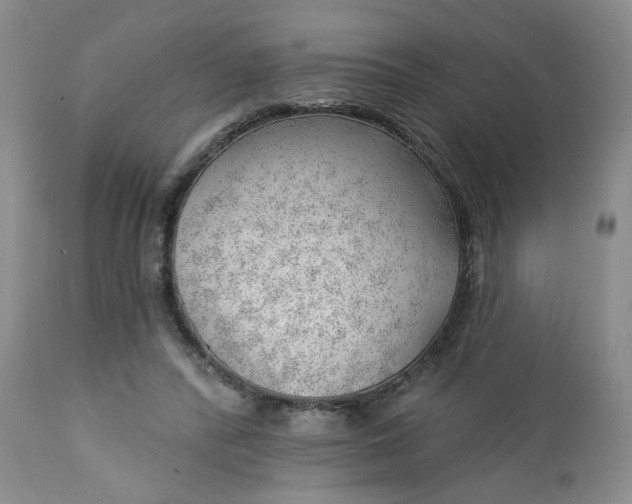 X0000112740400200909101520