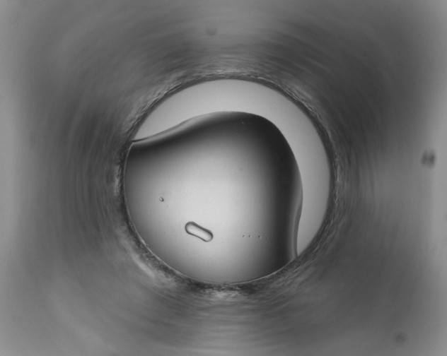 X0000112740401200909101520