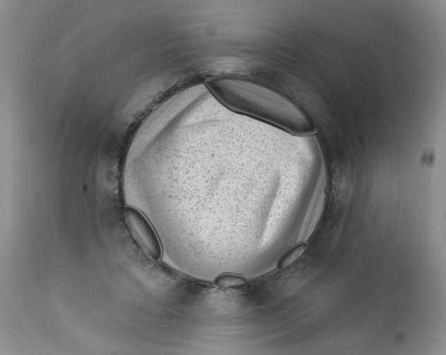 X0000112740403200909101520