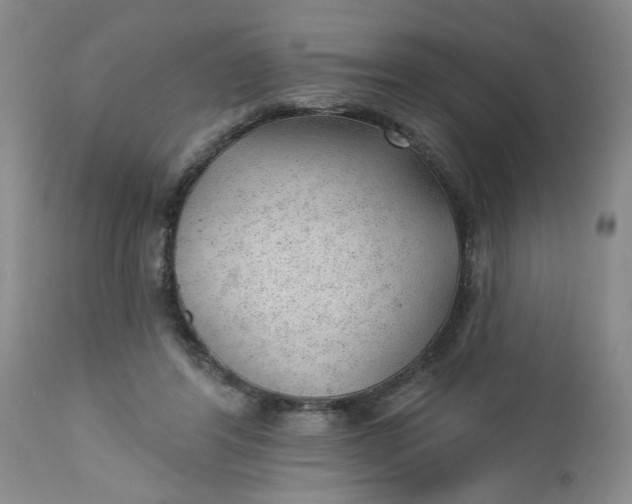 X0000112740404200909101520