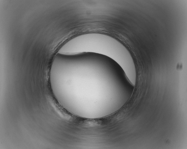 X0000112740405200909101520