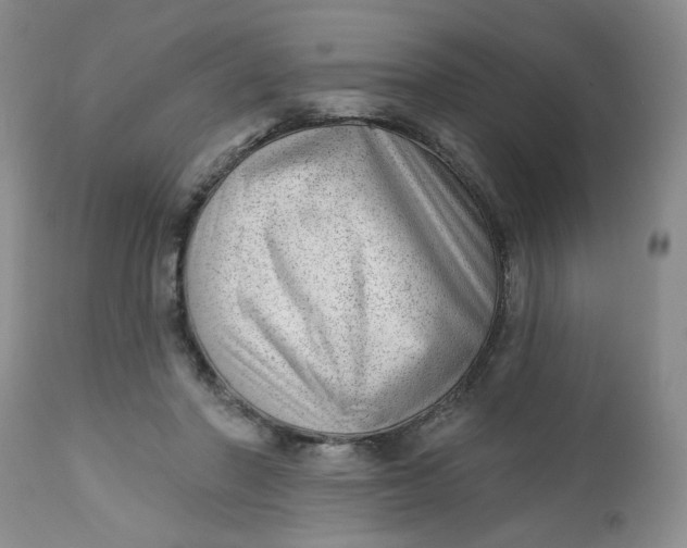 X0000112740406200909101520