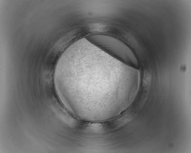 X0000112740409200909101520