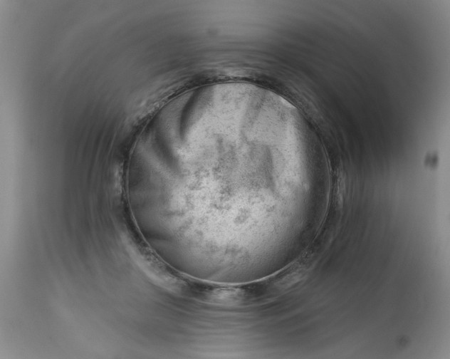 X0000112740410200909101520