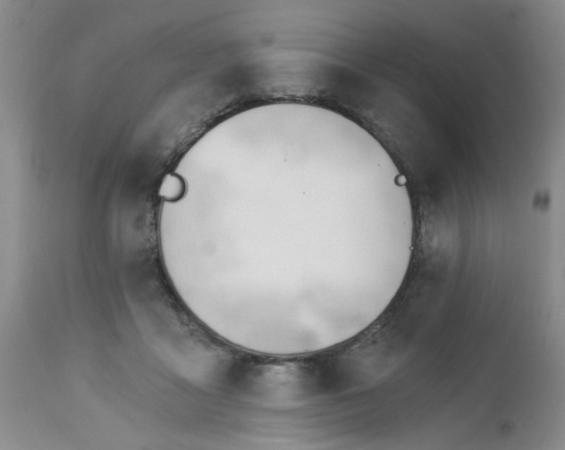 X0000112740411200909101520