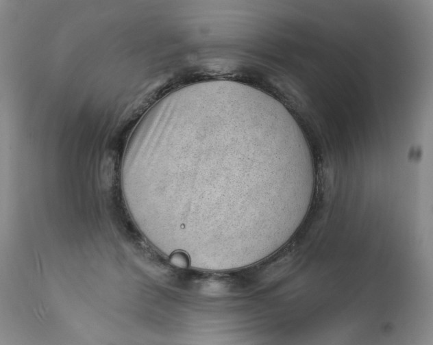 X0000112740412200909101520