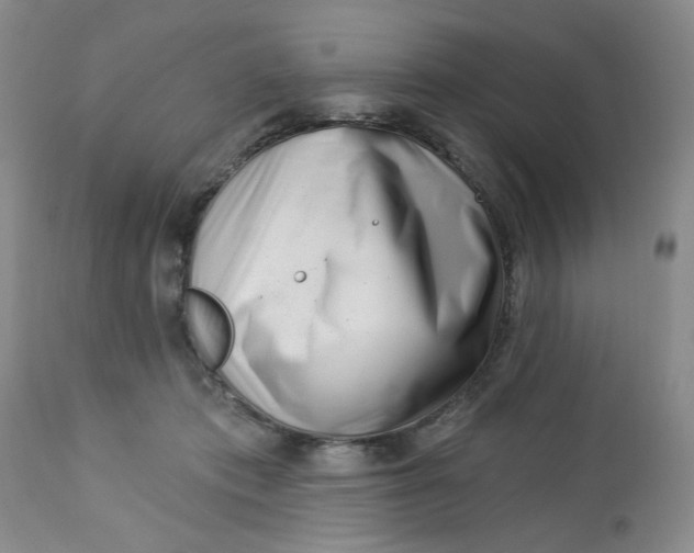 X0000112740413200909101520