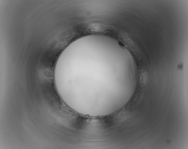 X0000112740419200909101520