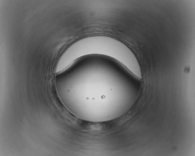 X0000112740423200909101520