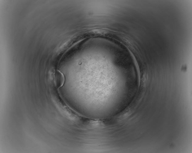 X0000112740424200909101520