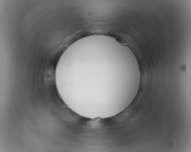 X0000112740425200909101520