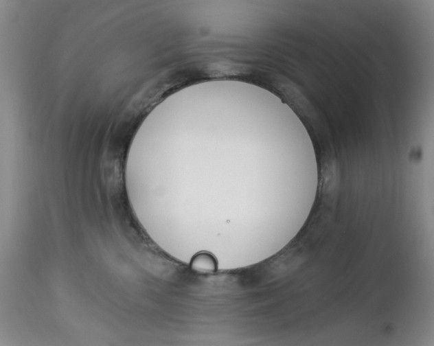 X0000112740426200909101520