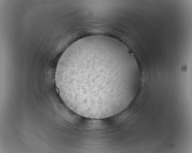 X0000112740428200909101520