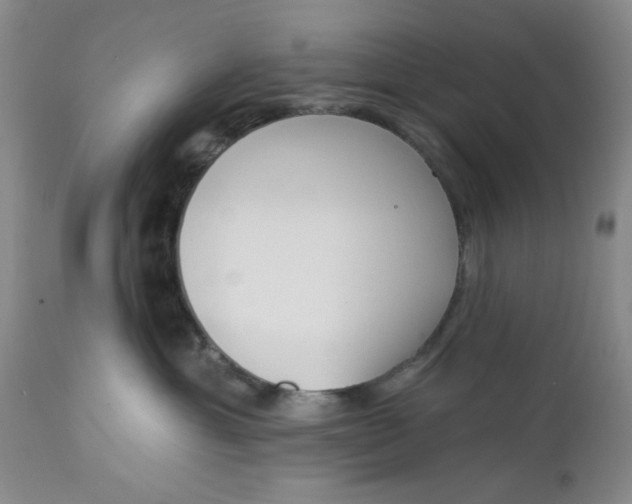 X0000112740429200909101520