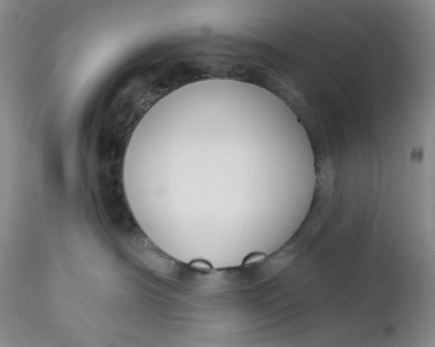 X0000112740430200909101520