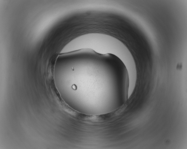 X0000112740431200909101520