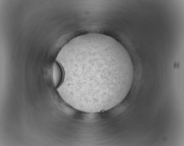 X0000112740432200909101520