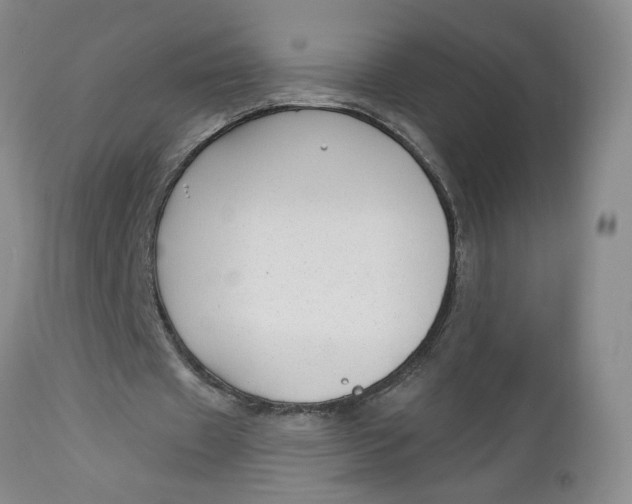 X0000112740433200909101519