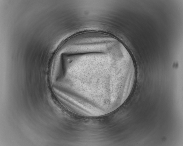 X0000112740434200909101519