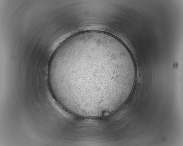 X0000112740437200909101519