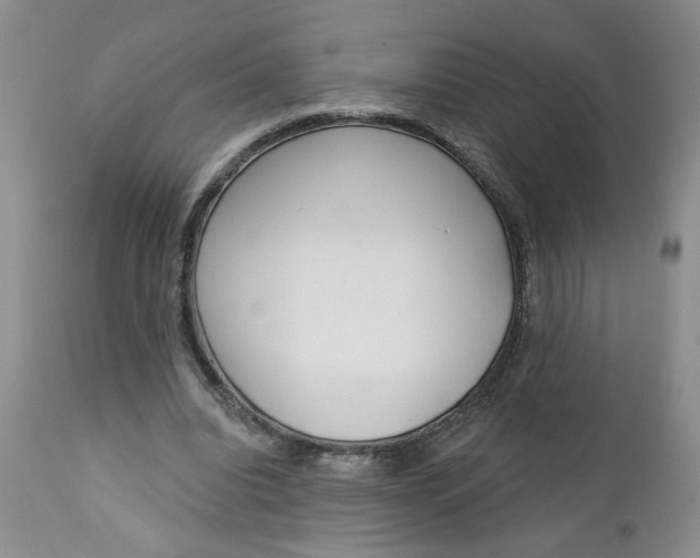 X0000112740440200909101519