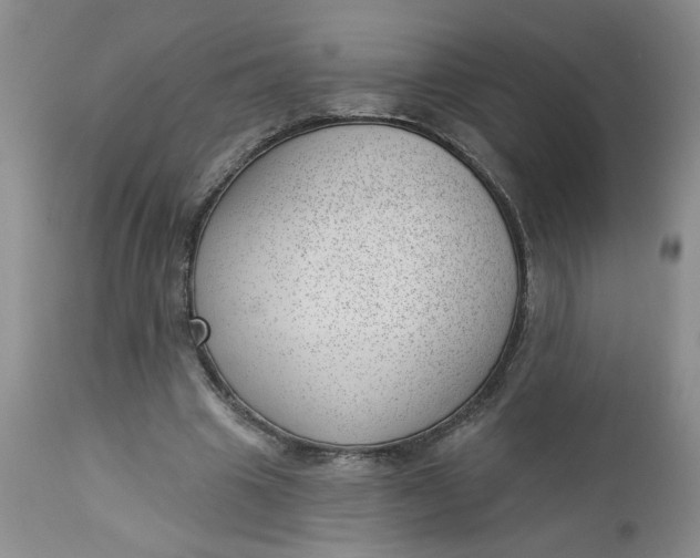 X0000112740441200909101519