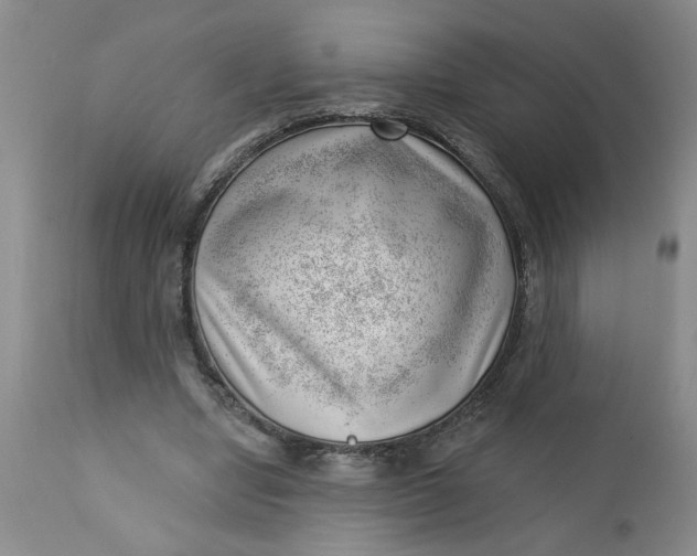 X0000112740442200909101519